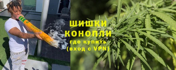 ПСИЛОЦИБИНОВЫЕ ГРИБЫ Наволоки