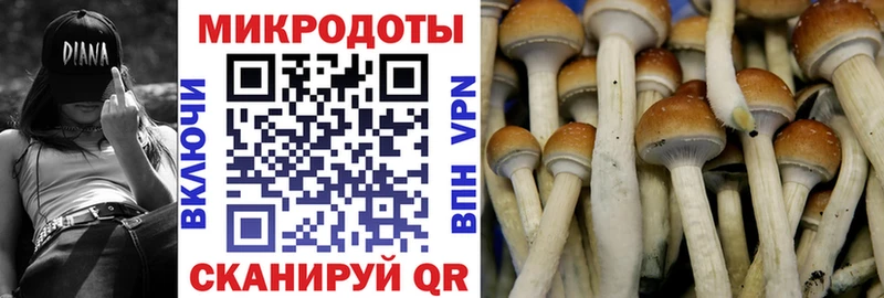 Галлюциногенные грибы Magic Shrooms  Купить где  Королёв 